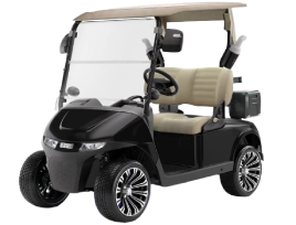 2-Passenger golf carts for sale in Southeastern United States